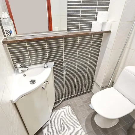 Levin Otava 2 By Interhome Lägenhet Sirkka
